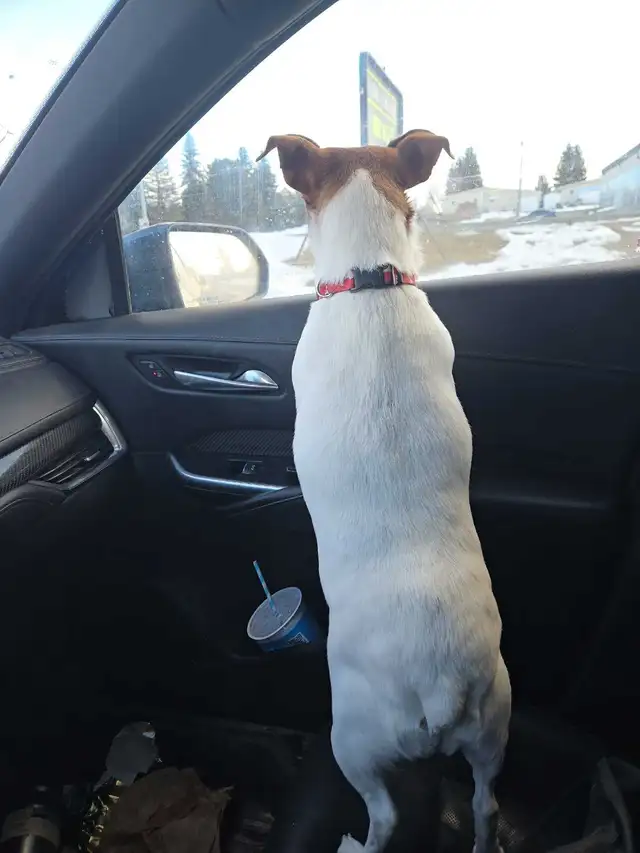 looking for Va J J 65397882045827120