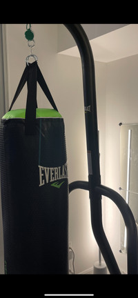 Everlast 70 lbs heavy bag PLUS Everlast Stand - Barely Used
