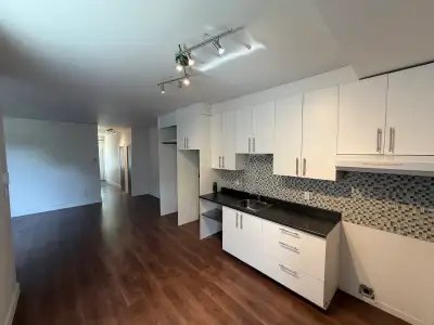 Grand 3 ½ – À deux pas de la Place Valois. L’ appartement est situé au 2e étage d’un quintuplex char...