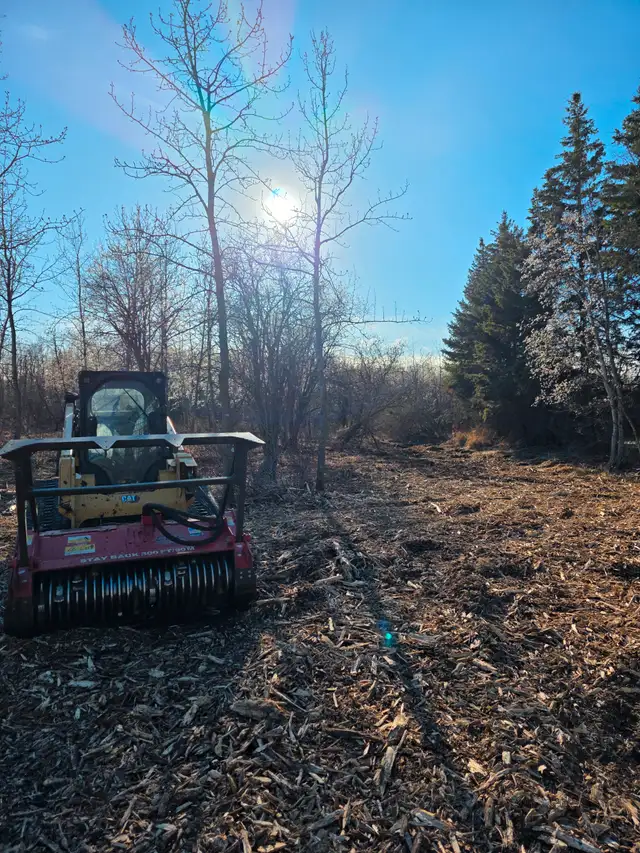 Mulching & Land Clearing62863249241858128