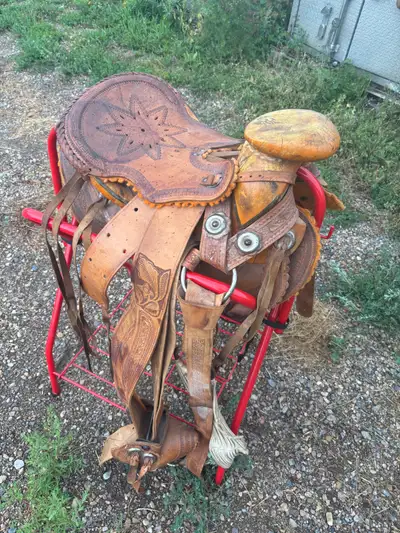 Many saddles for sale. Single harness for Minnie.
