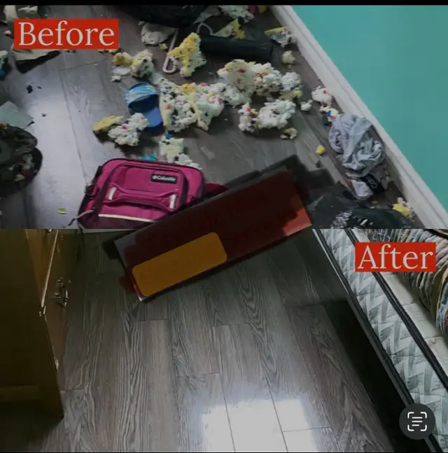 cleaning lady