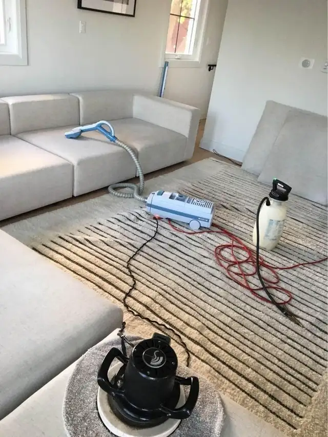 Professional House Carpet And Rug Cleaning In Affordable Price in Rugs, Carpets & Runners in Oshawa / Durham Region - Image 6