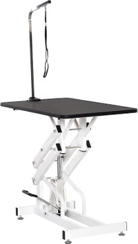 Professional Z-Lift Hydraulic Pet Dog Grooming Table with Arm