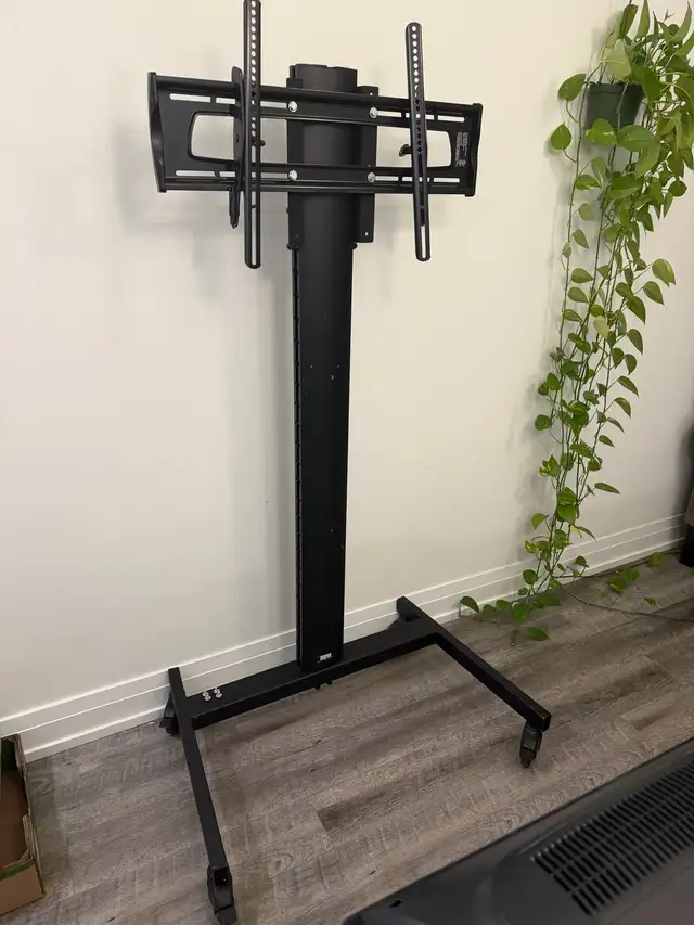 Rolling TV Stand
