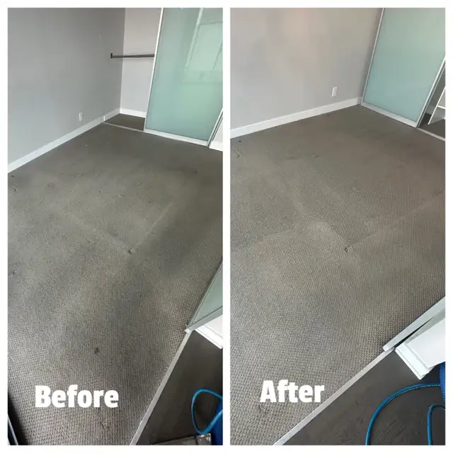 carpet and sofa fresh up603219961295022082