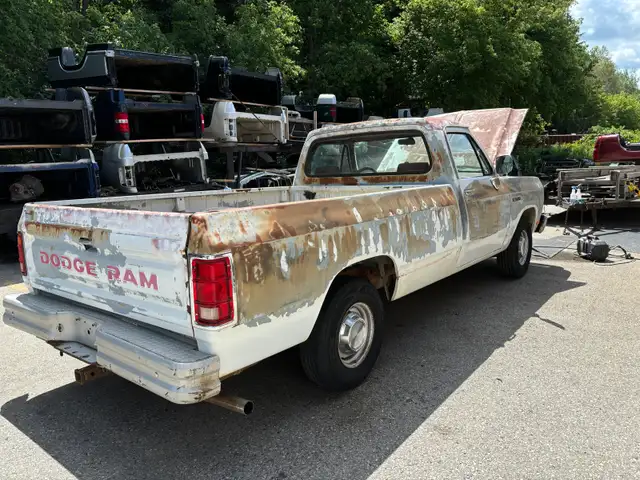 Southern 91 Dodge D-150542978539846389765