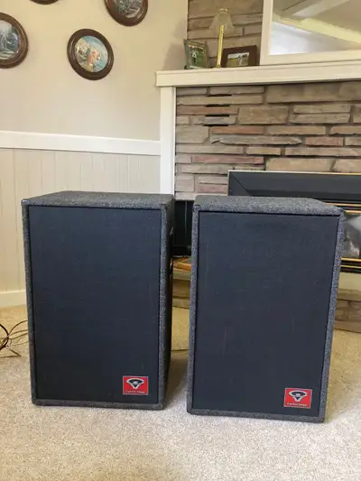 Pair of Cerwin Vega MV15 Professional Series Speakers. Original owner, never used Professionally but...