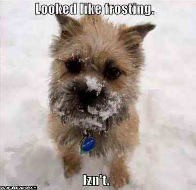 FT/PT Snow Removal, View more