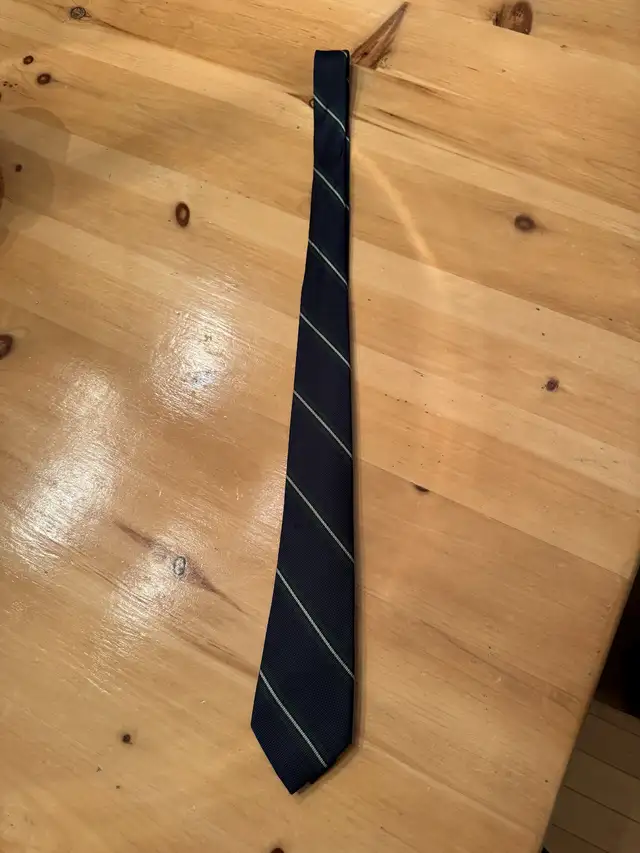 Boys Navy/Blue Striped Tie (Necktie) in Kids & Youth in Kingston - Image 2