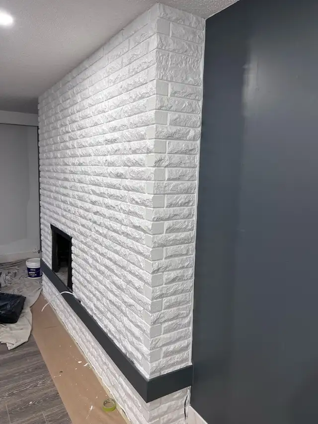 Professional painters 64985459573633123