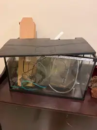 Fish Tanks and Terrarium