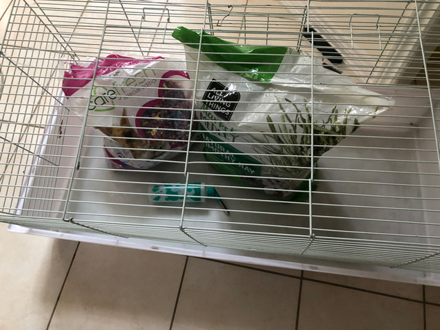 Rabbit/hamster/guinea pig cages in Accessories in Markham / York Region