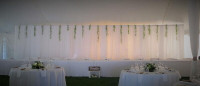 White sheer backdrop &fairy lights for Rent wedding/party/shower