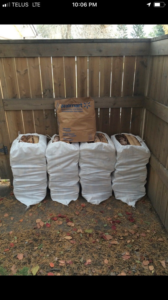 4 Huge Bags Dry Birch Firewood+Kindle+Free Delivery$180 in BBQs & Outdoor Cooking in St. Albert