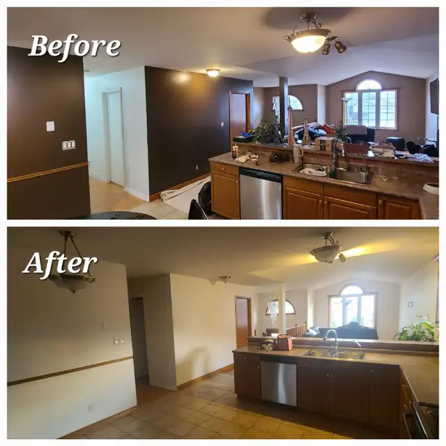 Professional Painter