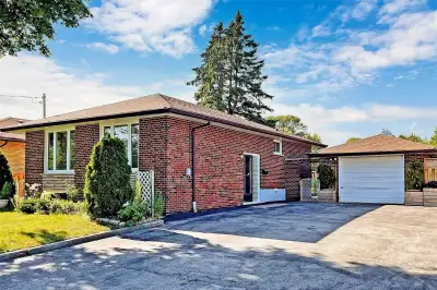 Basement Apartment  for rent