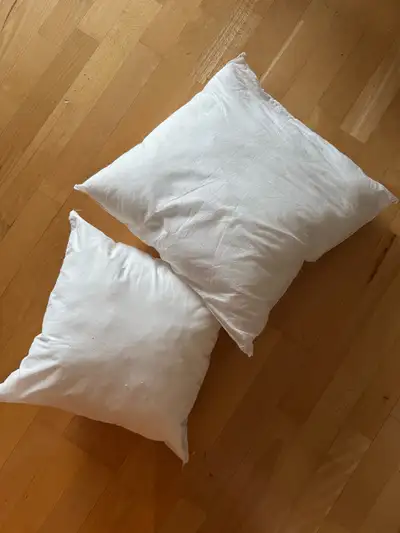throw pillow inserts, View more