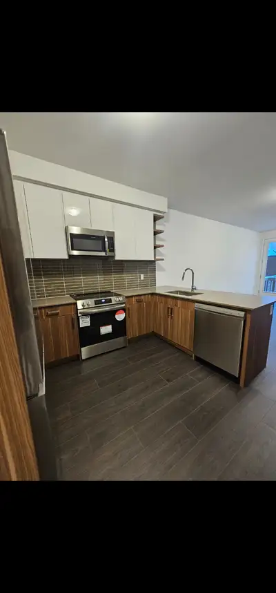 Amazing Huge 4 Bedroom 4 Washroom Plus 2 Den! Brand New Home Stainless Steel Laundry In Home Dishwas...