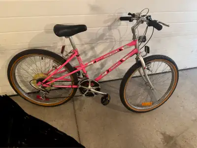 Ladies Mountain Bike , 18 speed , 17 inch frame , 24 inch wheels. Everything works fine. Could use a...