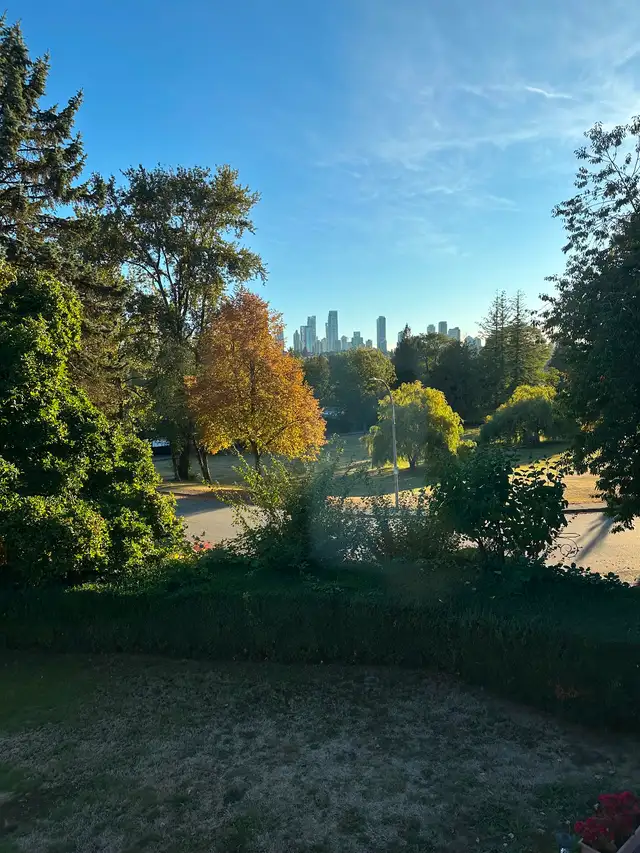 Three bedroom with nice view for rent
