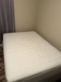 Mattress Protector for Double Bed