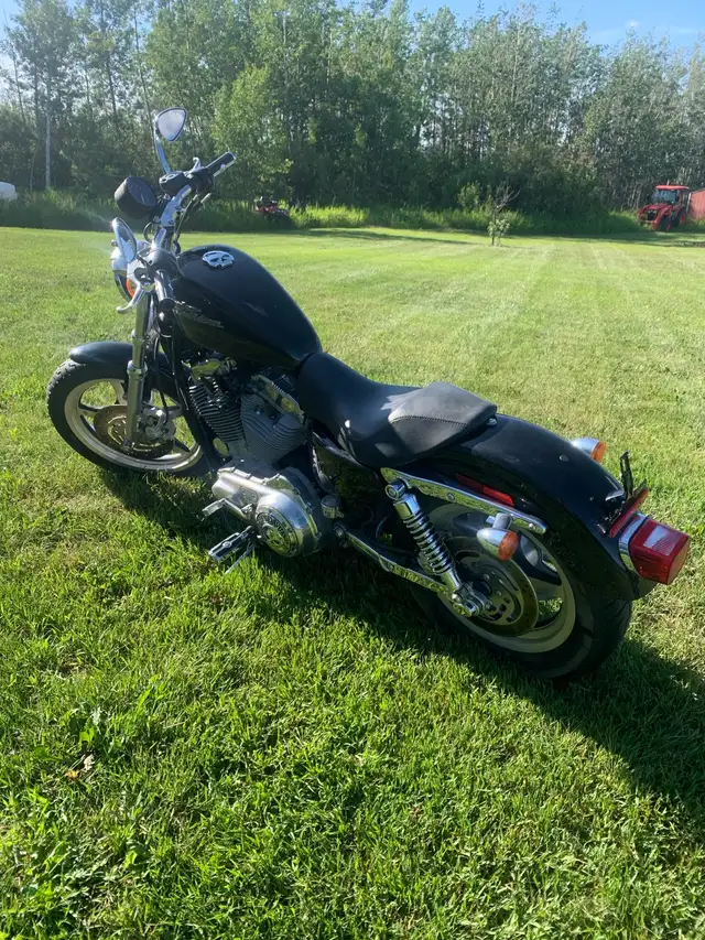 2006 Harley-Davidson Sportster 883 in Street, Cruisers & Choppers in Fort St. John - Image 4