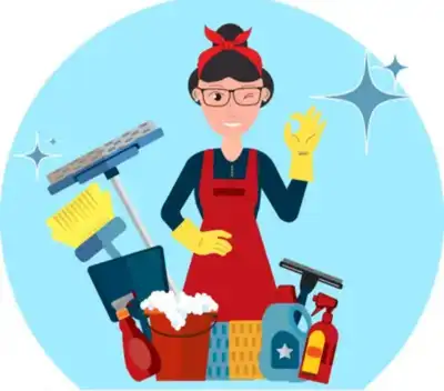 cleaning lady, View more