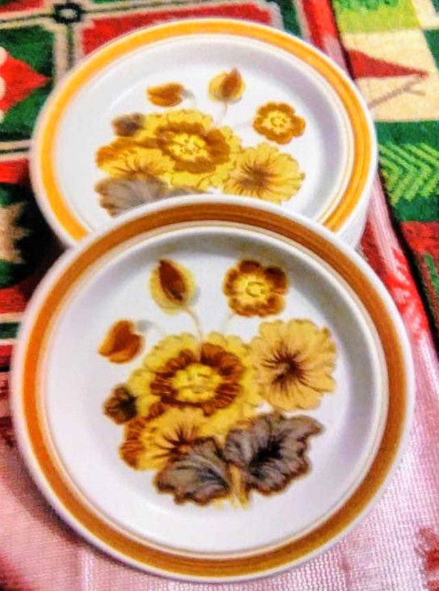 Rare,Vintage 46 piece set Royal Doulton 1973 Forest Glen Lambeth in Kitchen & Dining Wares in Hamilton - Image 3