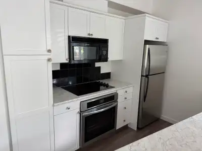 Great 2 downtown bed condo unit for rent $1800 inc utilities
