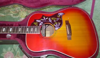 50 year old Ibanez lawsuit era acoustic guitar. Ibanez Dove, View more