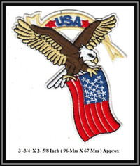 ÉCUSSON USA EAGLE American FLAG BIKER RARE Patch Badge