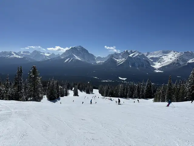 Looking for Skiing Buddy64628753349121120