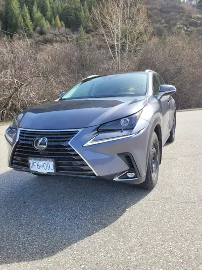 Sad to be selling my most loved 2021 Lexus NX300 with premium package because our family is growing...