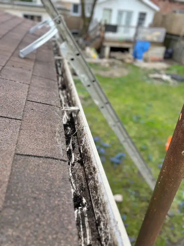 160$ GUTTER CLEAN SPECIAL!!65592243947651124