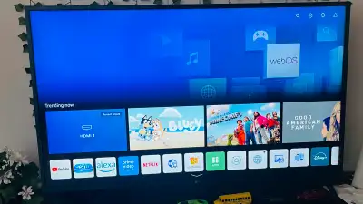LG 4K UHD smart TV 50”, View more