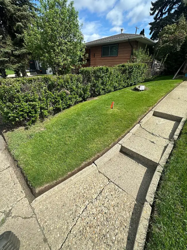 Professional Lawn Care in Lawn, Tree Maintenance & Eavestrough in Edmonton - Image 4
