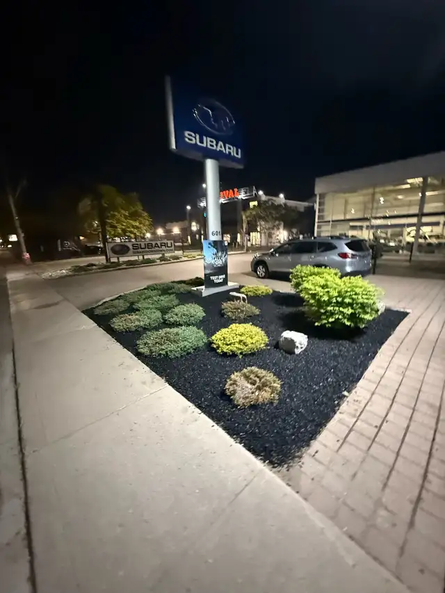 Landscaping & Lawn Care Services | Yard Cleanup & Grass Cutting in Lawn, Tree Maintenance & Eavestrough in City of Toronto - Image 11