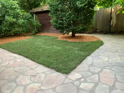 Sod Replacement, View more