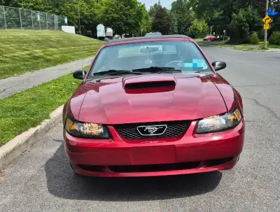 ++++++++ Clean car fax ++++++++ https://vhr.carfax.ca/en/?id=rBTJwrK4qZK6hpi+XtLEXcyPgni1hYM3 ++++++...