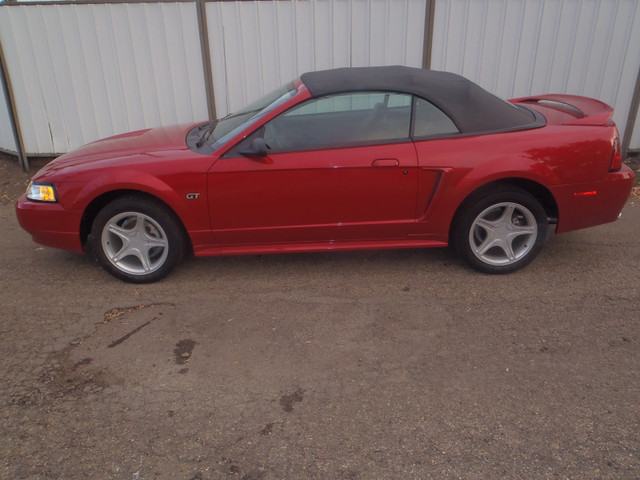 2000 Mustang GT Convertible Still Has New Car Smell It Has in Cars & Trucks in Edmonton