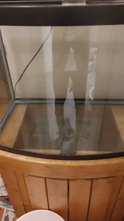 I have several fish tank from 1 gallon upto 90 gallon, individual or complete setup for sale, Please...