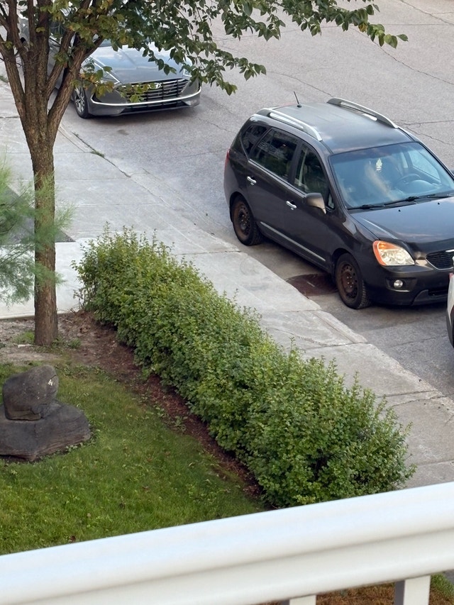 Kia Rondo