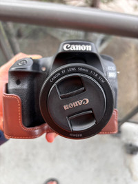 Canon 80d + 50mm 1.8f prime lens (like new) 