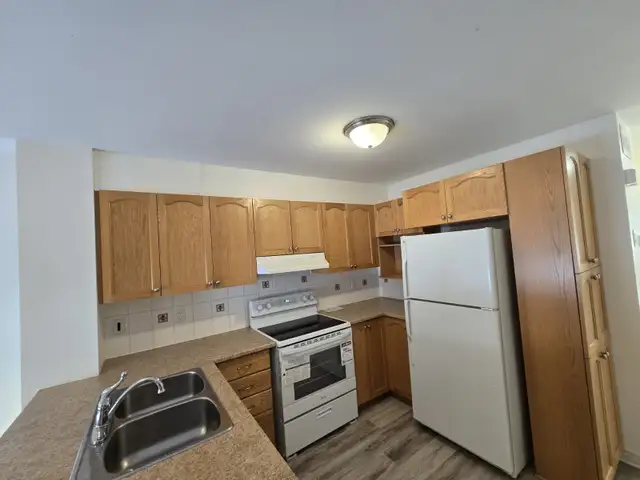 Newly Renovated 2 bedroom Executive Terrace home Centrepointe