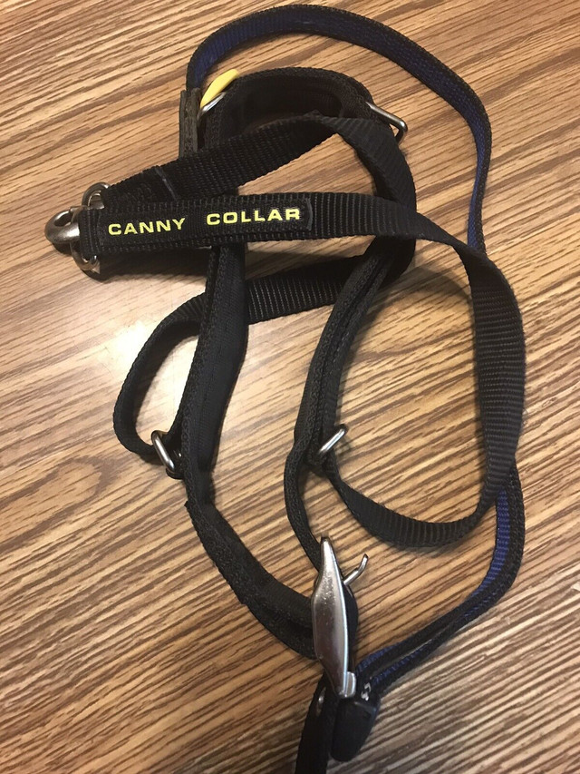 Canny Collar # 5 in Accessories in Regina