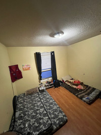 2 Bedroom for Rent in sharing with Boy - $400 + Utilities