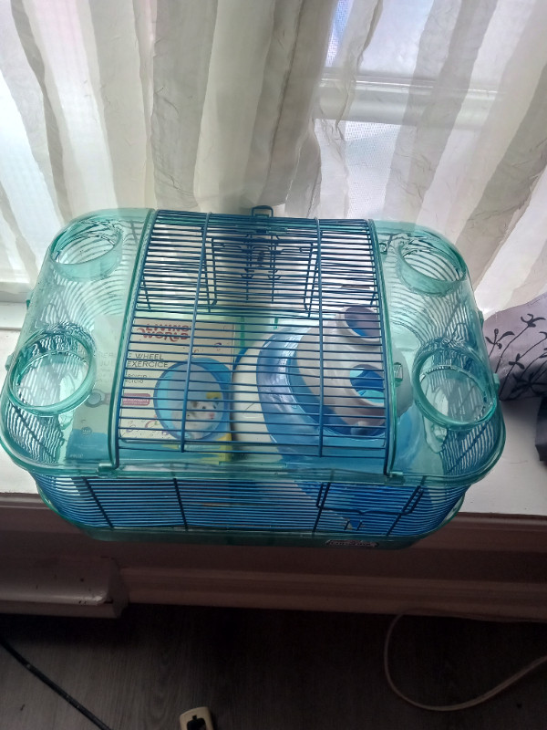 HAMSTER  CAGE With Assesaries in Small Animals for Rehoming in City of Halifax - Image 2