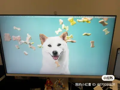 Samsung M8 white monitor with camera, View more