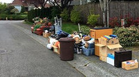 Yard Waste / Trash Removal